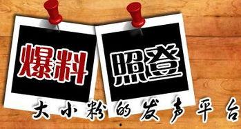 周四最新爆料新闻,揭秘重大新闻背后的惊人真相  第1张